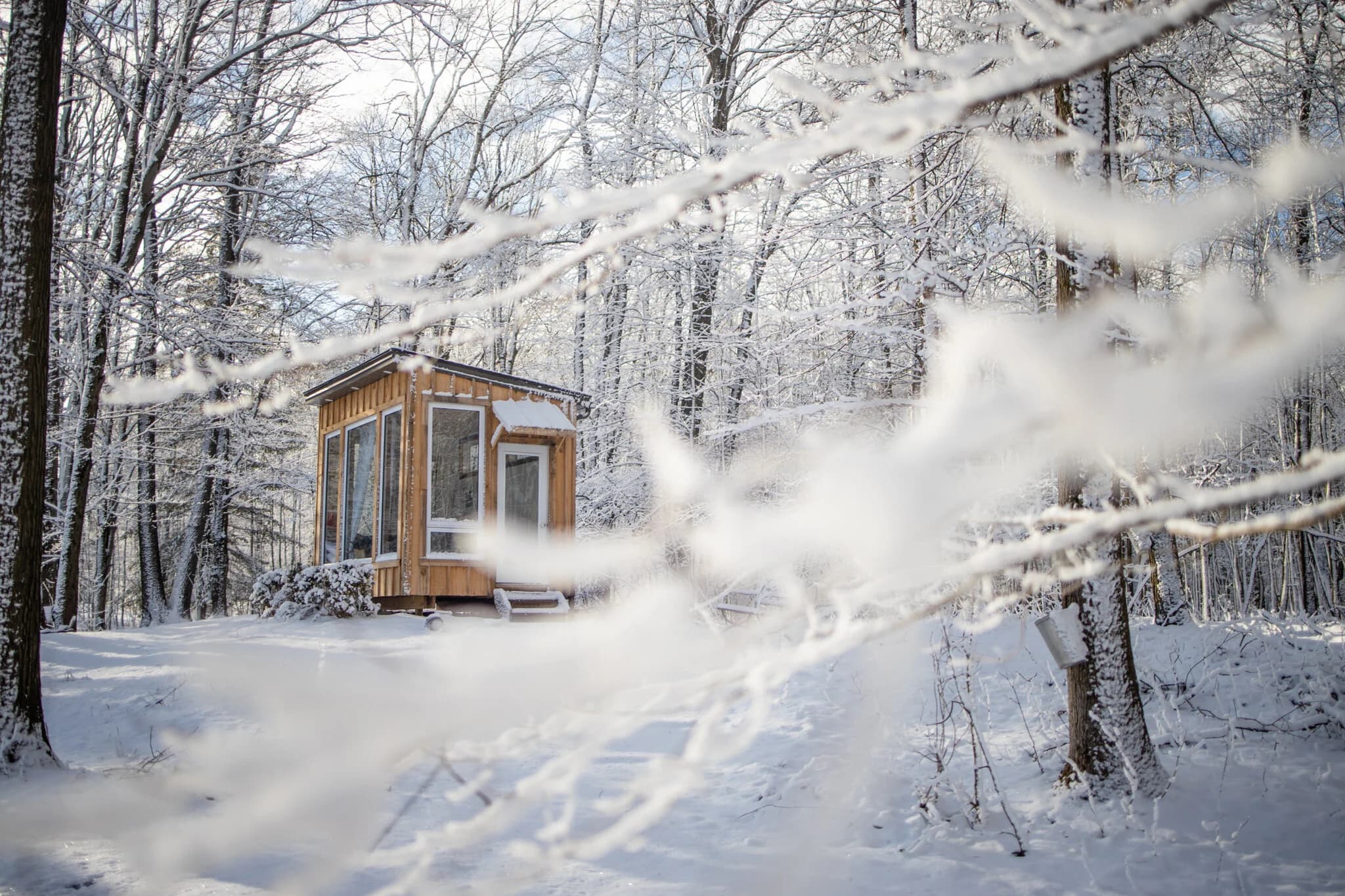 Romantic setting at the Adler cabin at Fernwood Hills