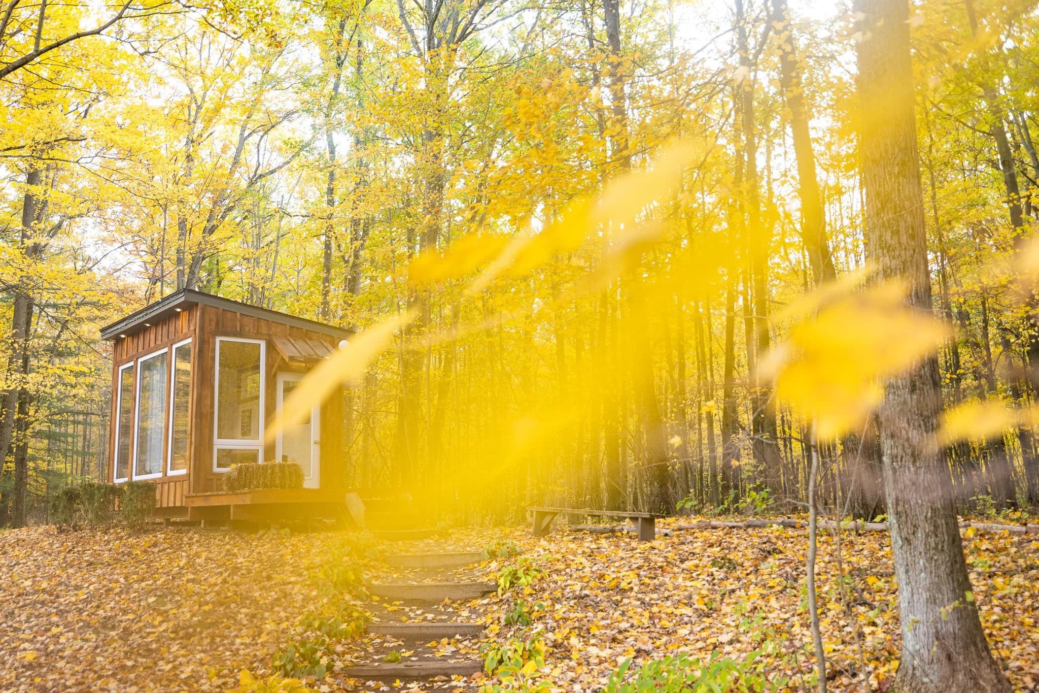 Forest setting at Fernwood Hills