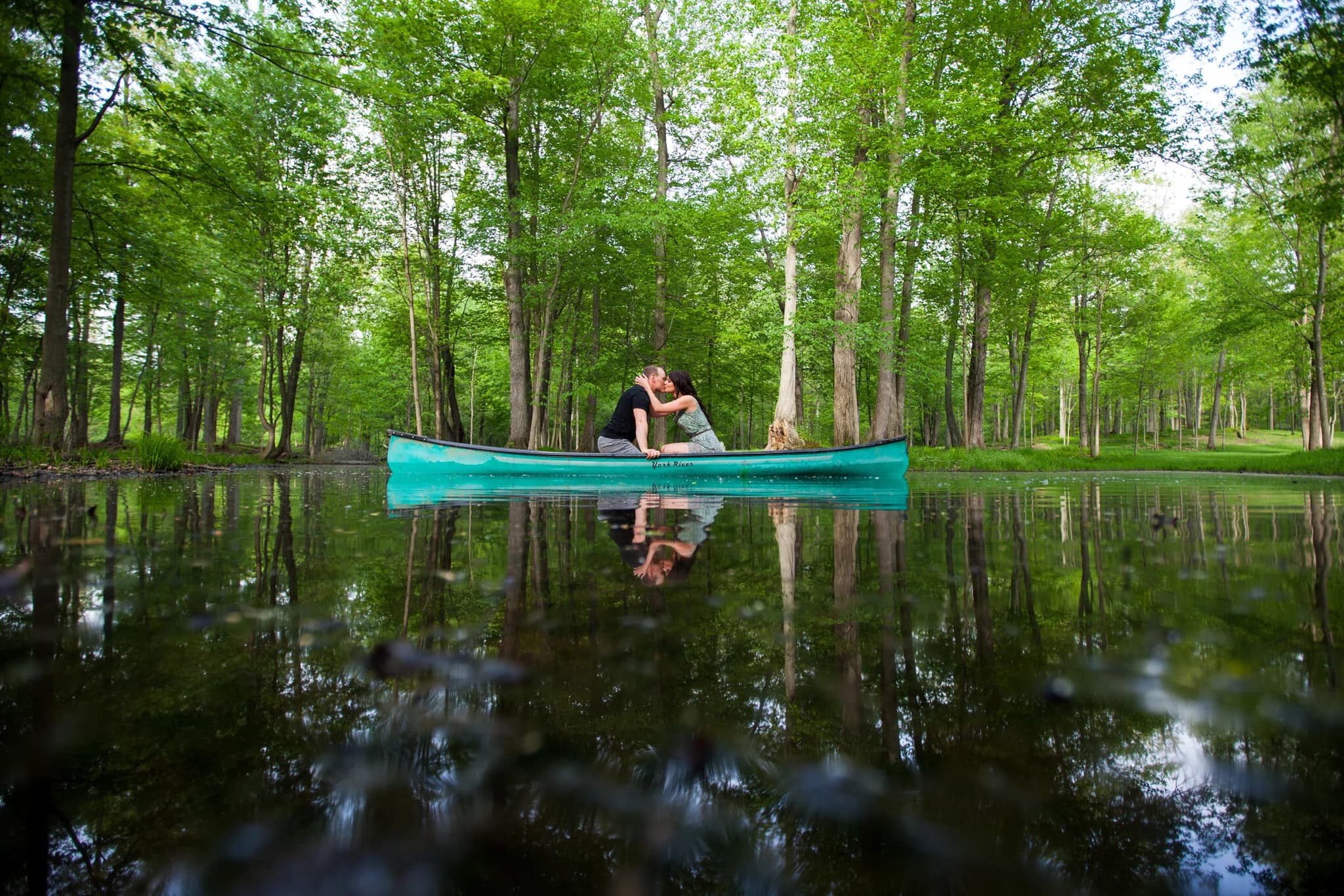 Forest photography at Fernwood Hills
