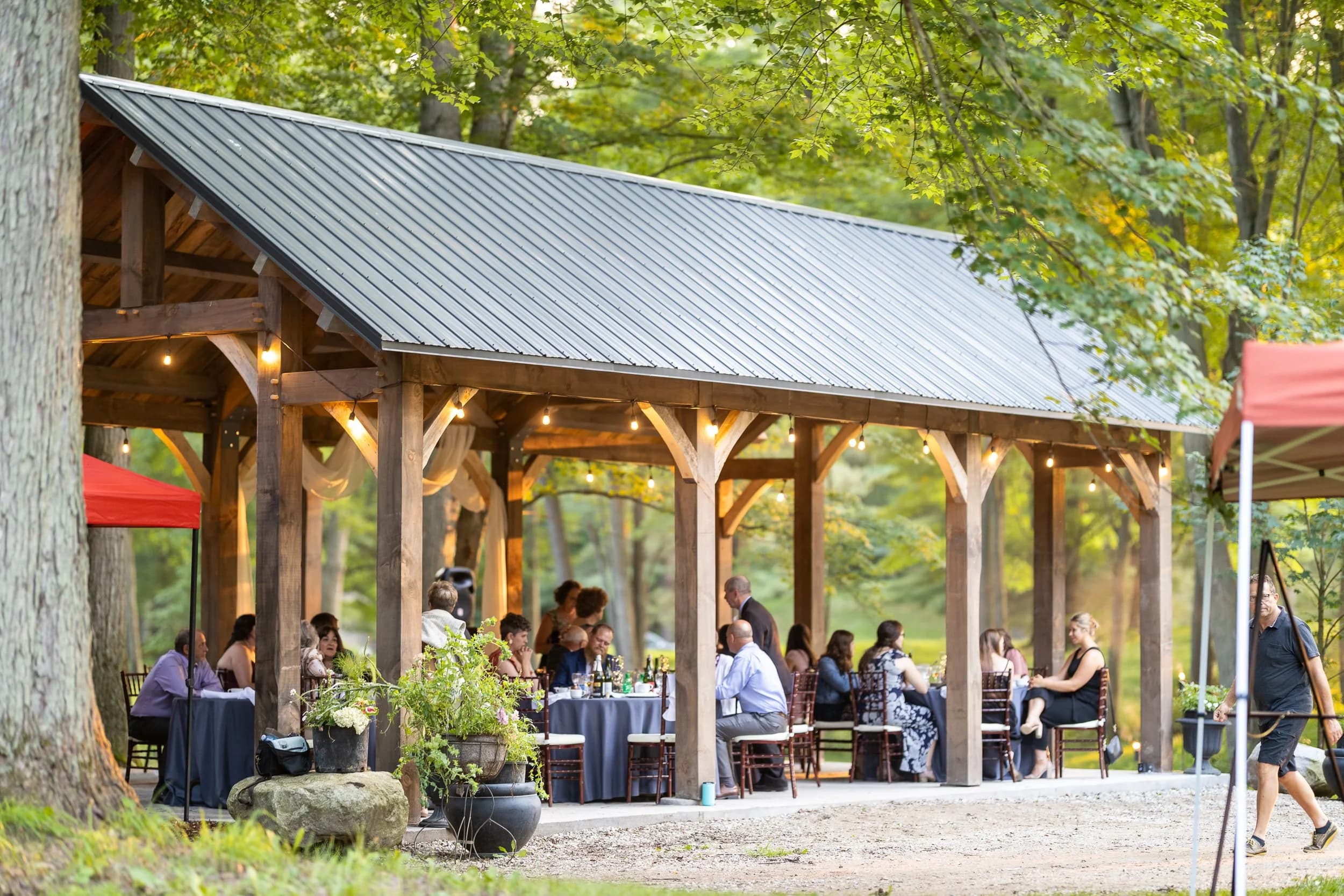 Wedding portrait beneath the trees at Fernwood Hills