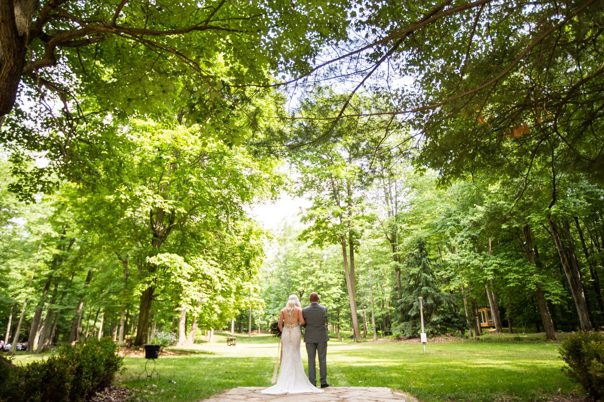 Timber Pavilion ceremony space surrounded by forest