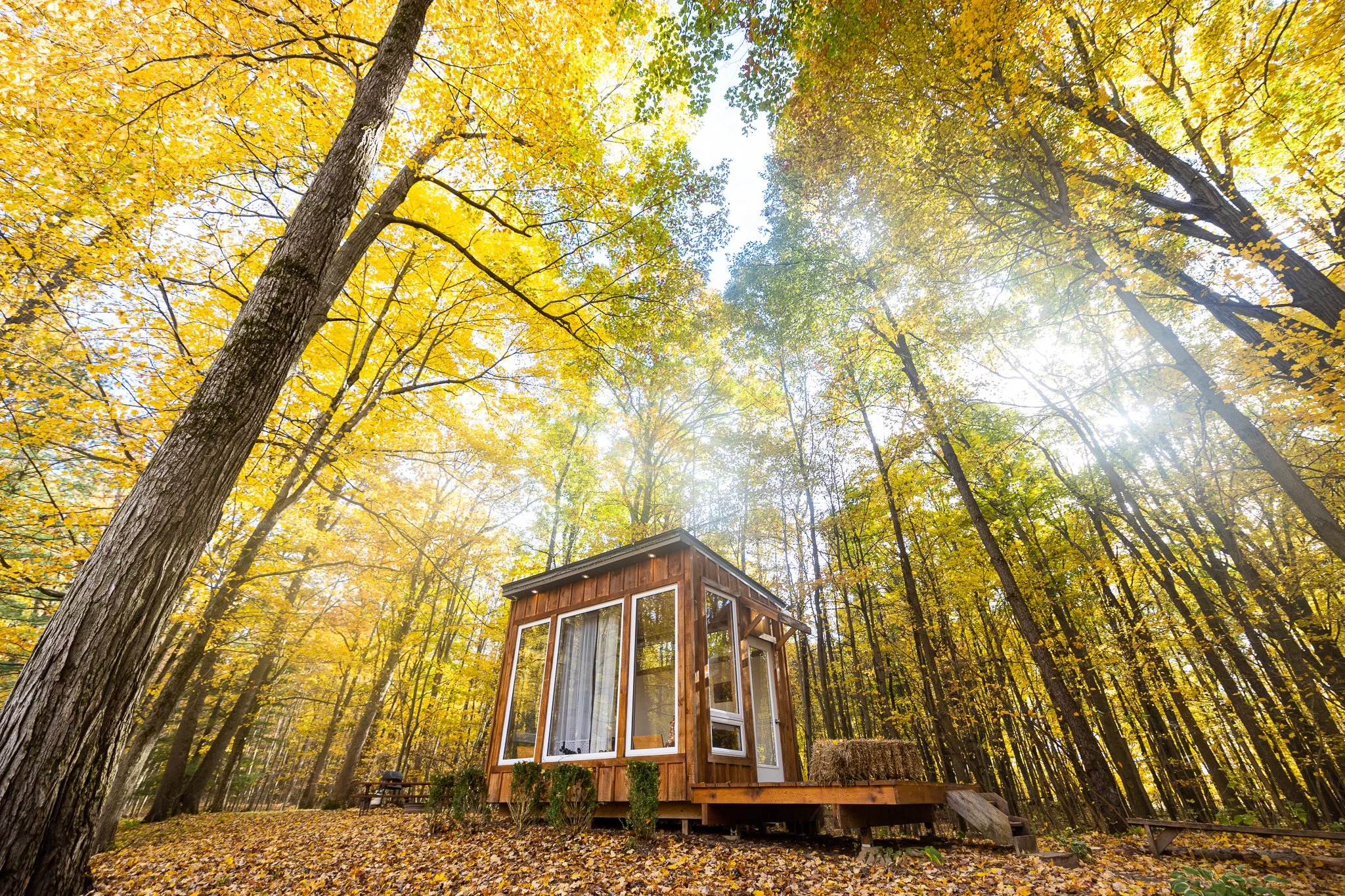 Adler Cabin
