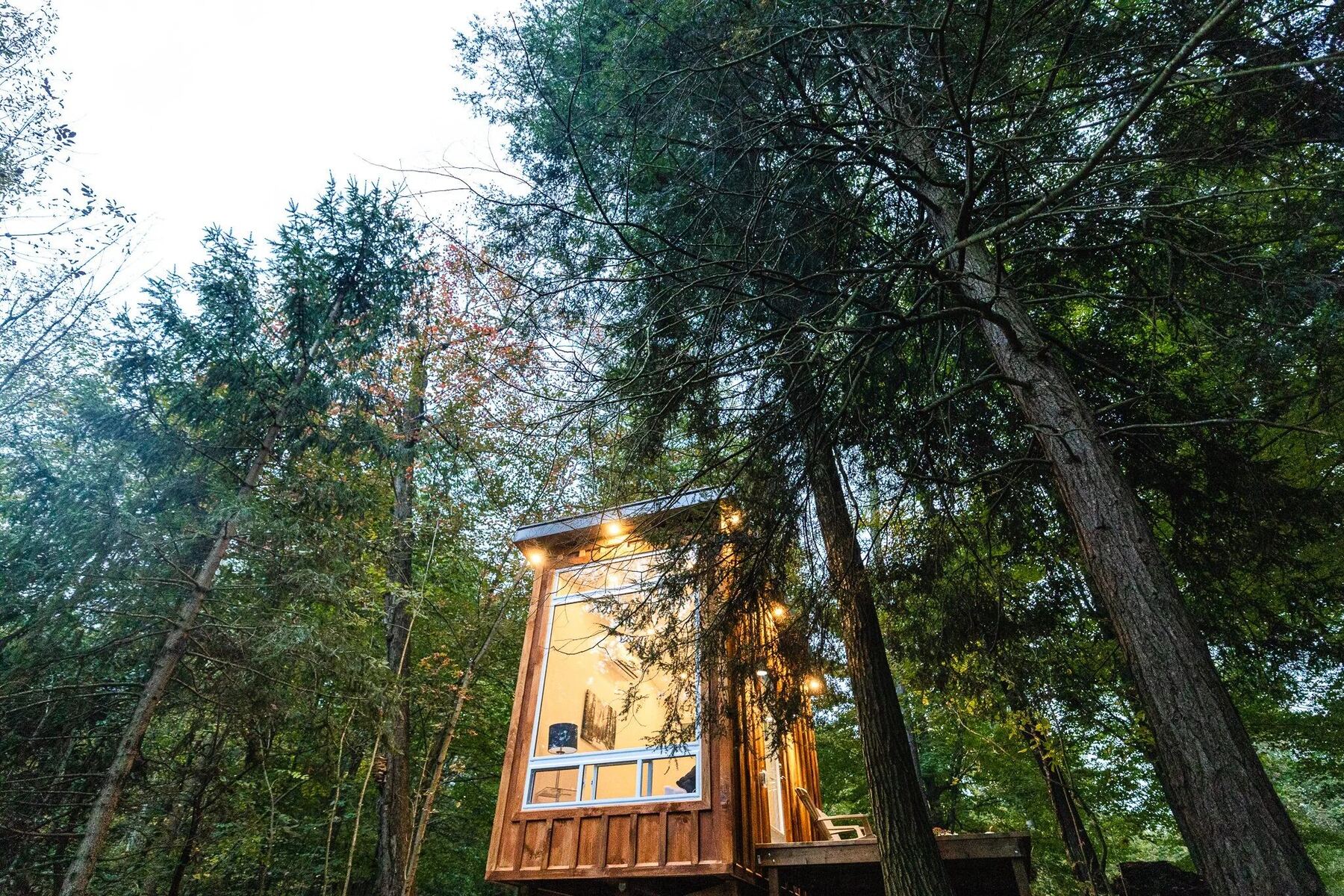 Bracken Cabin at Fernwood Hills — ridge cabin overlooking a forest clearing