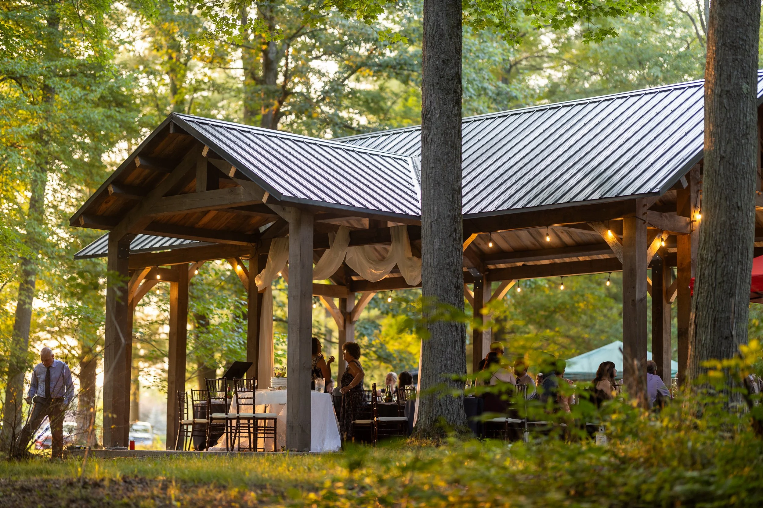 Forty acres of Carolinian forest